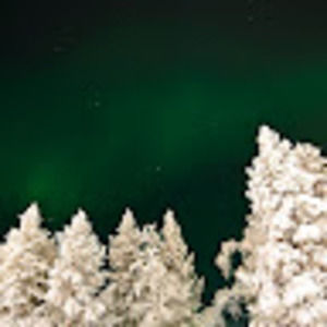 Meet your Posher, Yoni